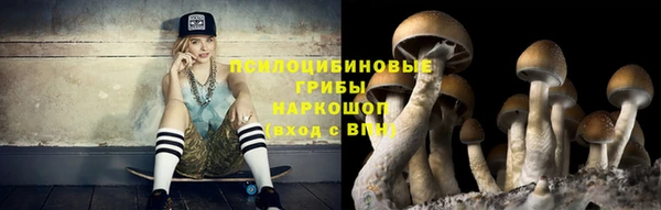 спайс Верея
