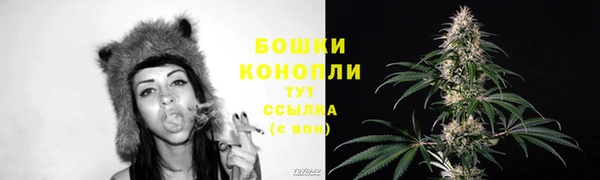 spice Лабытнанги