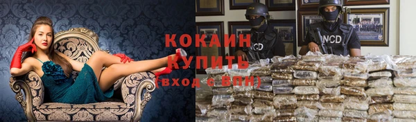 стаф Михайловск