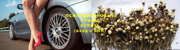 спайс Верея