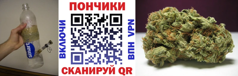 площадка наркотические препараты купить сайты Грязи Каннабис SATIVA & INDICA